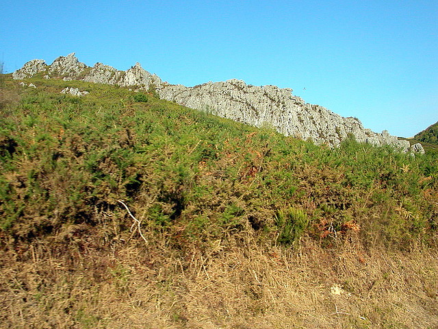DSCN7944 DSCN7944