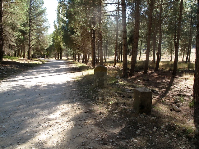 A49 A49