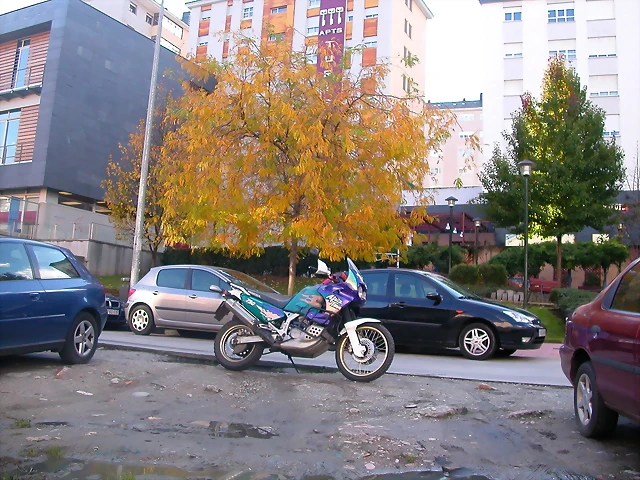 DSCN9899 DSCN9899