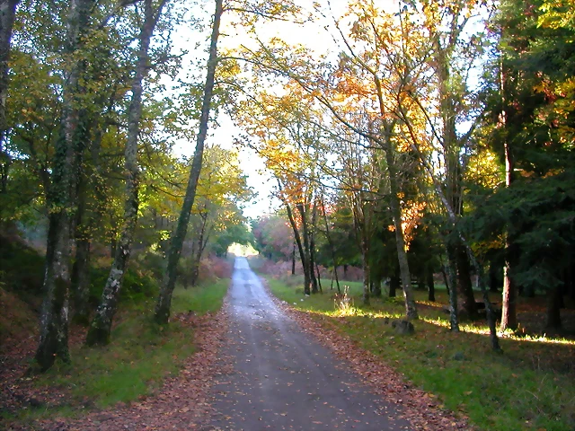 DSCN9912 DSCN9912