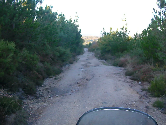 DSCN9944 DSCN9944