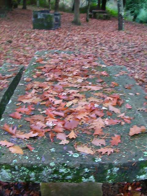 DSCN9922 DSCN9922