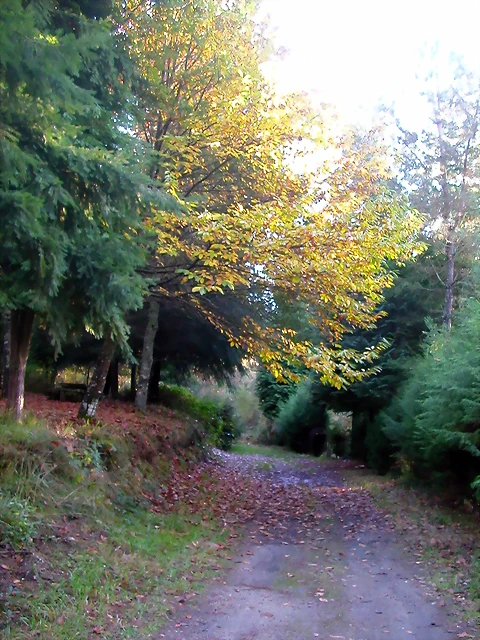 DSCN9917 DSCN9917