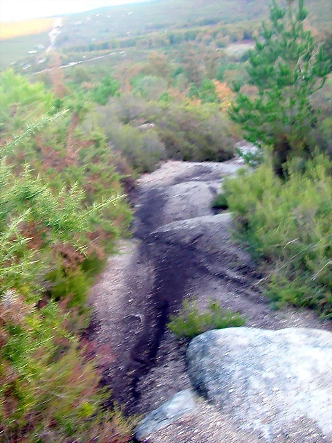 DSCN9962 DSCN9962