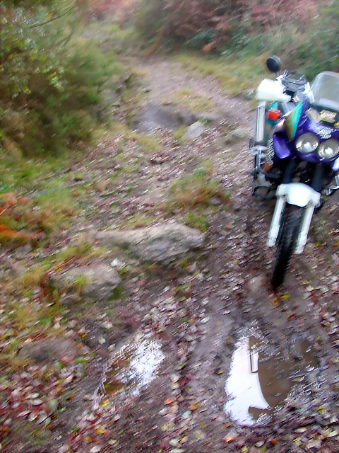 DSCN9965 DSCN9965