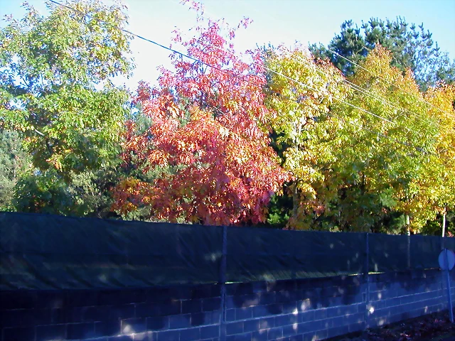 DSCN9907 DSCN9907