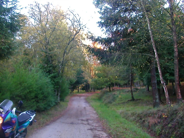 DSCN9925 DSCN9925