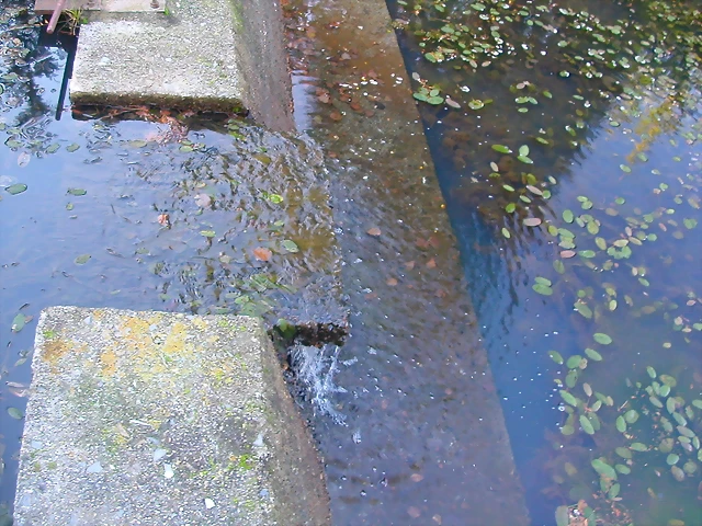 DSCN9927 DSCN9927