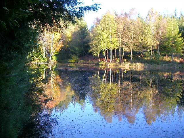 DSCN9932 DSCN9932