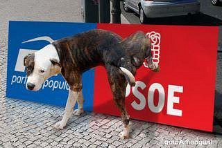 Perro inteligente se mea en el cartel del PSOE