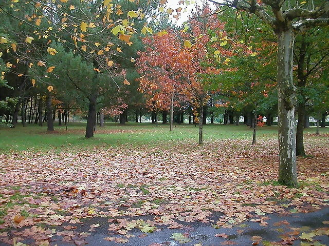 DSCN2564 DSCN2564