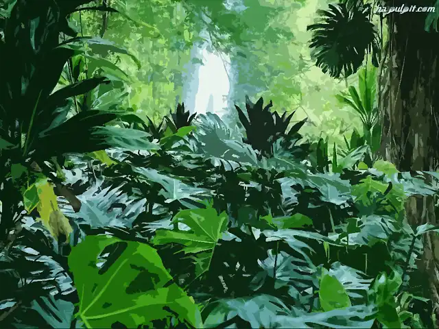 jungla-2