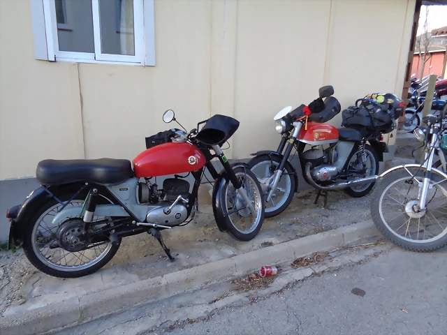 DSC00533 DSC00533
