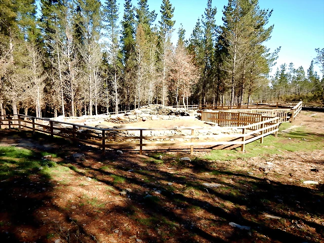 DSCN1574 DSCN1574