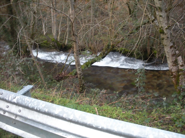 DSCN2871 DSCN2871