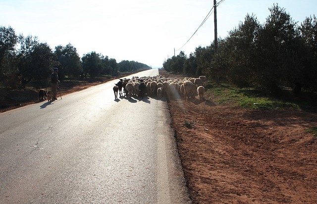 001, llegando a vilches