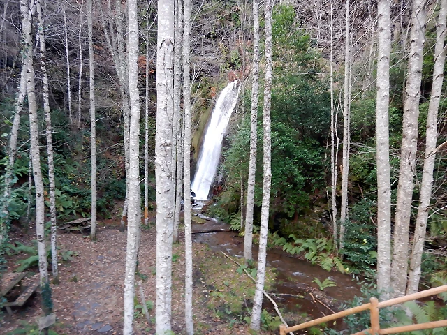 DSCN3296 DSCN3296