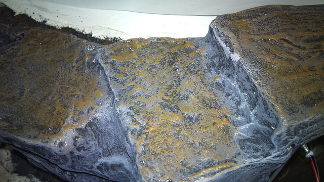 DSC00004 DSC00004