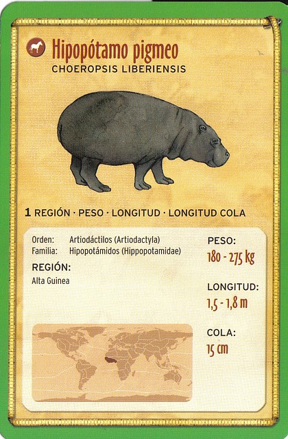 hipopotamo pigmeo