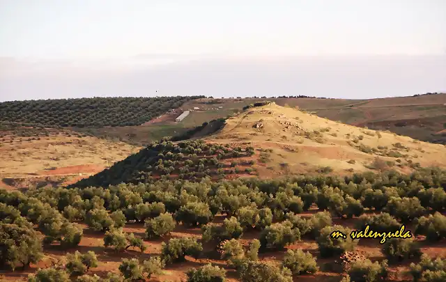 04, desde la loma del pino, 2011, marca