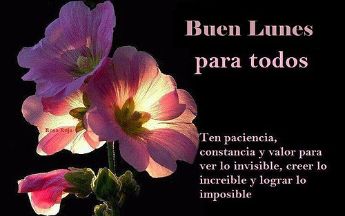 Buen lunes