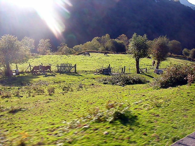 DSCN1289 DSCN1289
