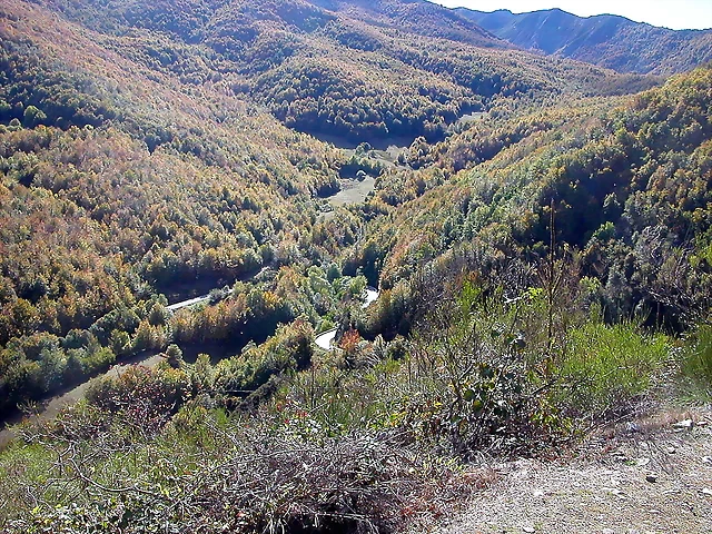 DSCN0920 DSCN0920