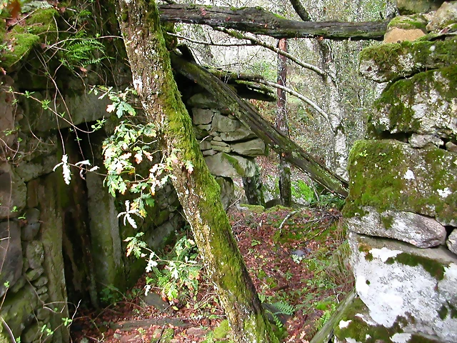 DSCN5762 DSCN5762