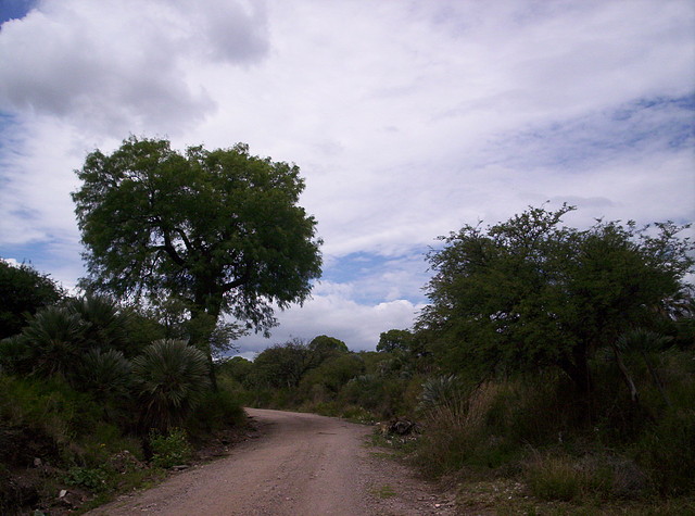 Base del Cerro Enero 2011 011