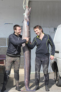 2012-02-26_IMG_2012-02-26_23_18_05_soc4 2012-02-26_IMG_2012-02-26_23_18_05_soc4