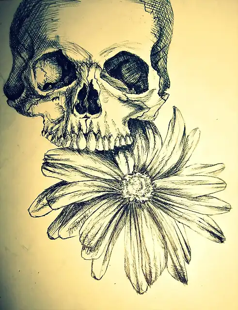 pen_skull_flower_pt1_by_olkabolka1123-d5kluw4