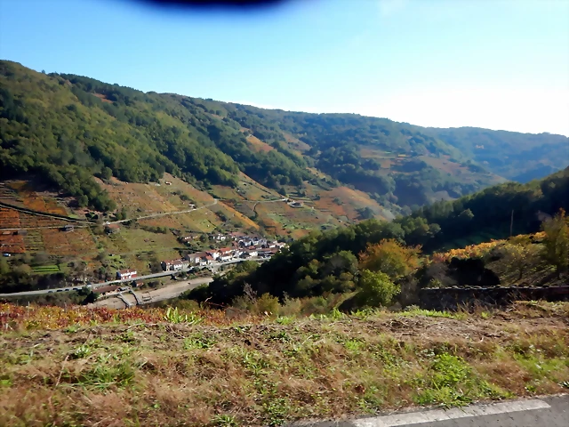 DSCN1547 DSCN1547