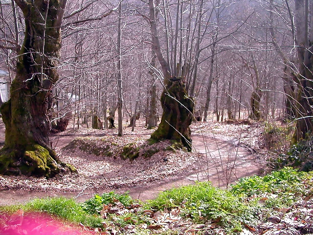 DSCN1616 DSCN1616