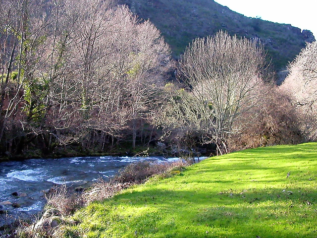 DSCN1834 DSCN1834