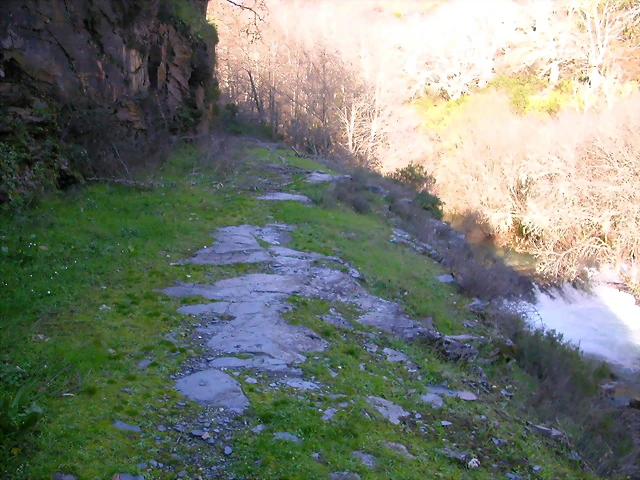 DSCN1839 DSCN1839