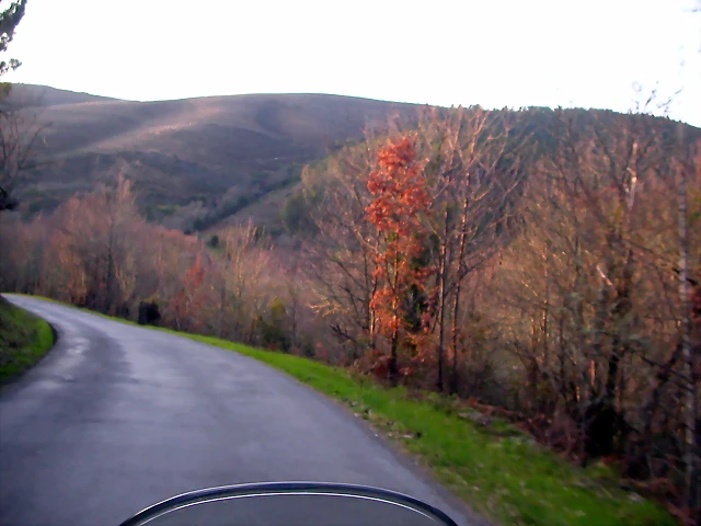 DSCN1896 DSCN1896