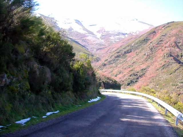 DSCN1713 DSCN1713