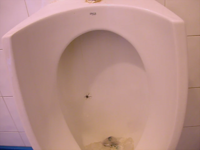 DSCN1747 DSCN1747