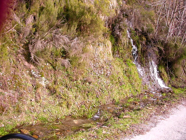 DSCN1639 DSCN1639