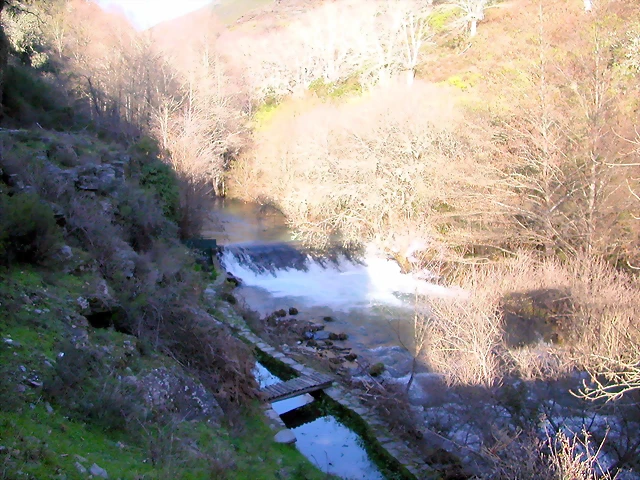 DSCN1838 DSCN1838