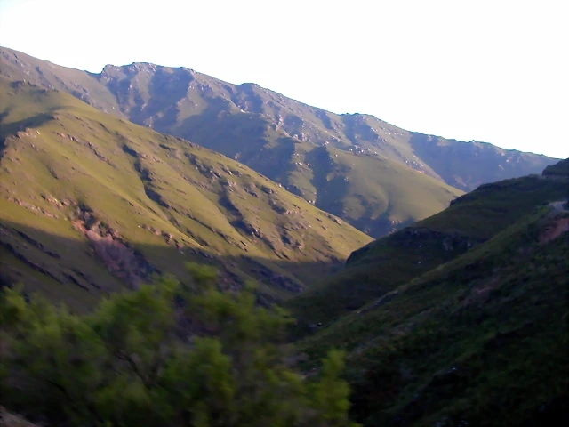 DSCN1856 DSCN1856