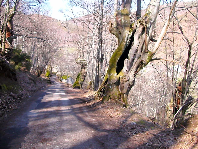 DSCN1708 DSCN1708