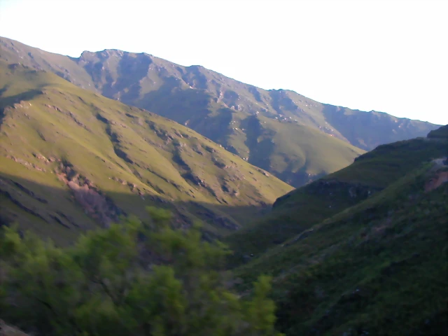 DSCN1856 DSCN1856