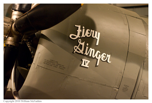 p47d_fiery_ginger_iv_01