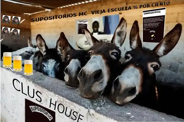 burros