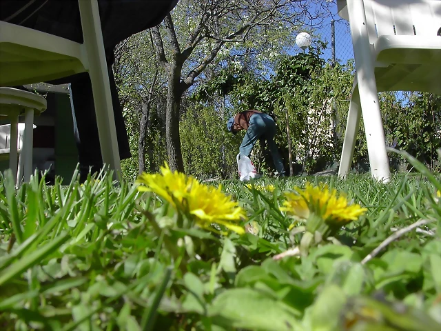 Navafría: primavera verano 2006 18