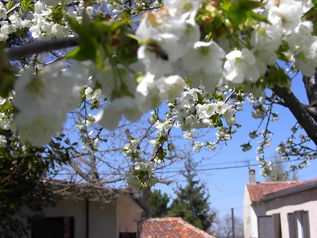 Navafría: primavera verano 2006 14