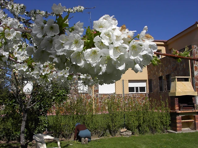 Navafría: primavera verano 2006 25