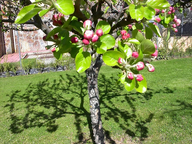 Navafría: primavera verano 2006 31