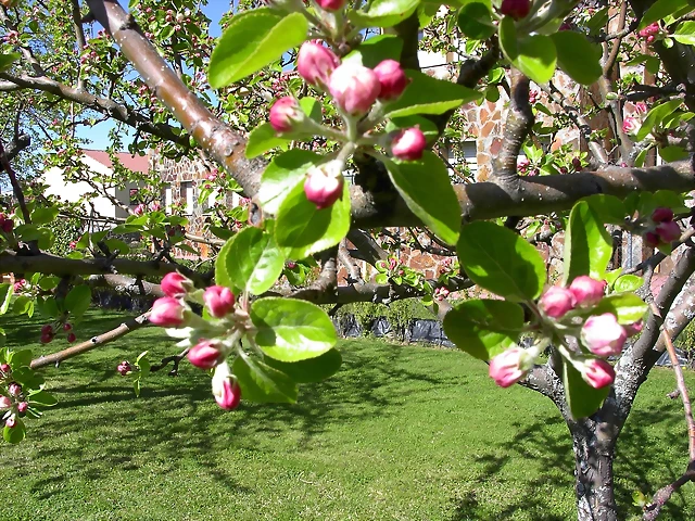 Navafría: primavera verano 2006 32